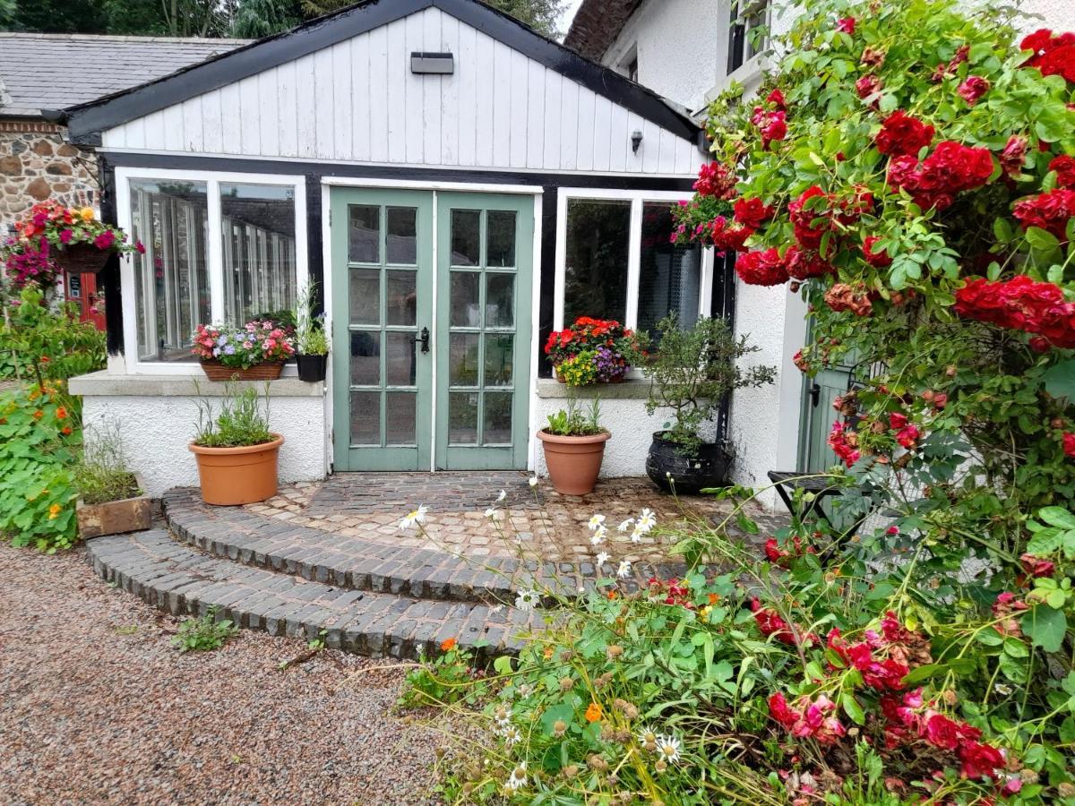 Berwickhall Apartment Craigavon 外观 照片